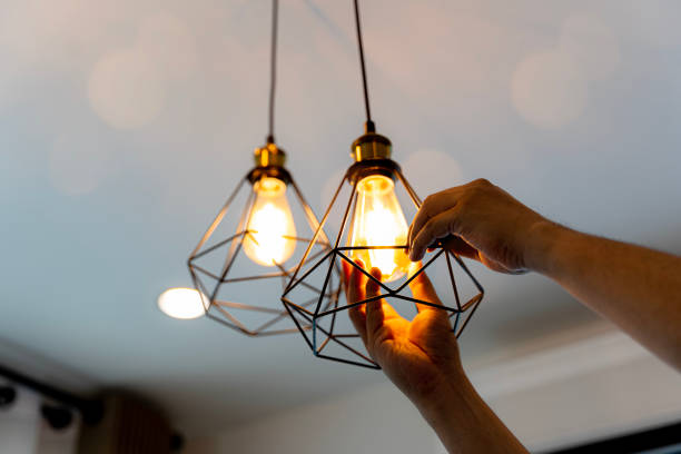 Best Ceiling Fan Installation Electrician  in Lenwood, CA
